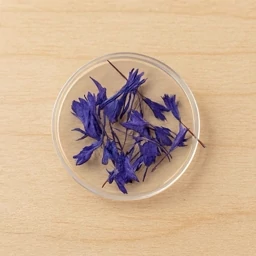 گل خشک مدل آوا 6 عددی مخصوص رزین اپوکسی و شمع